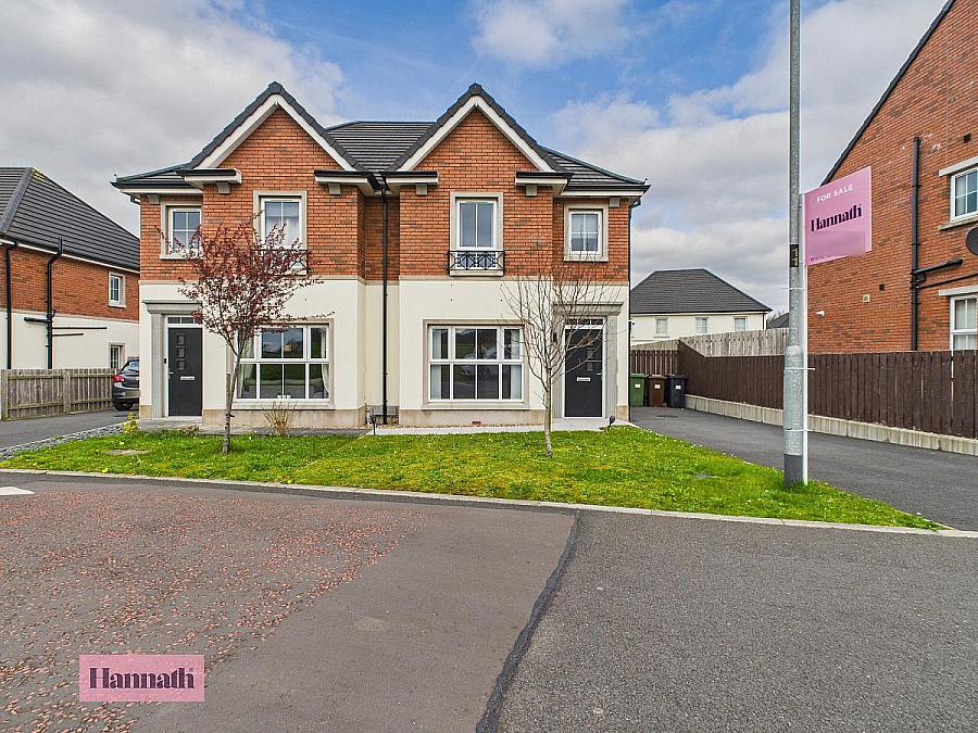 69 Carnreagh Park, craigavon, BT64 3AB
