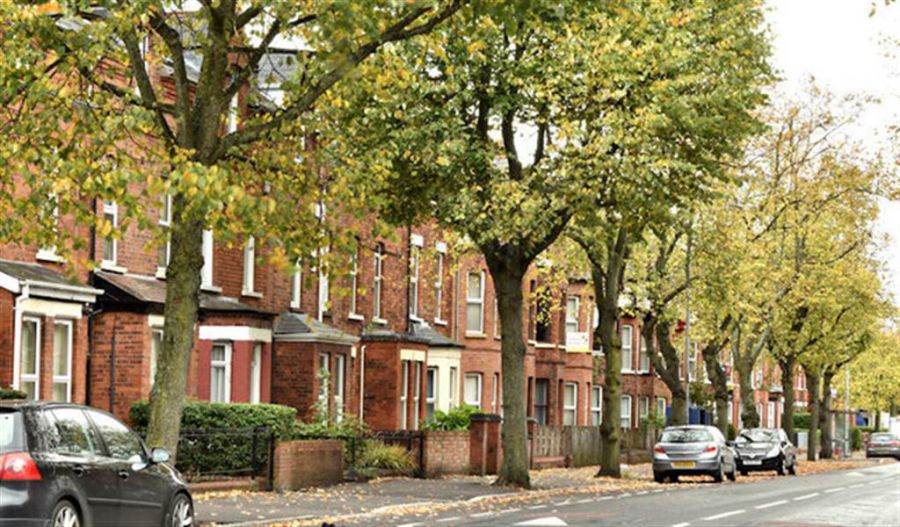 University Avenue, 127, Queens Quarter, Belfast, BT7