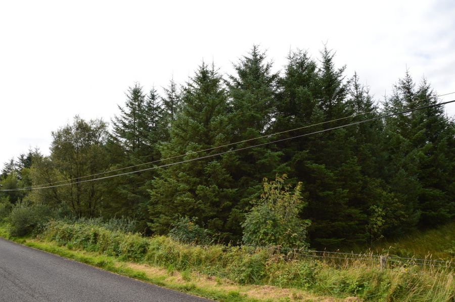 Altnahinch Road, Corkey, Ballymena, BT44 9JS