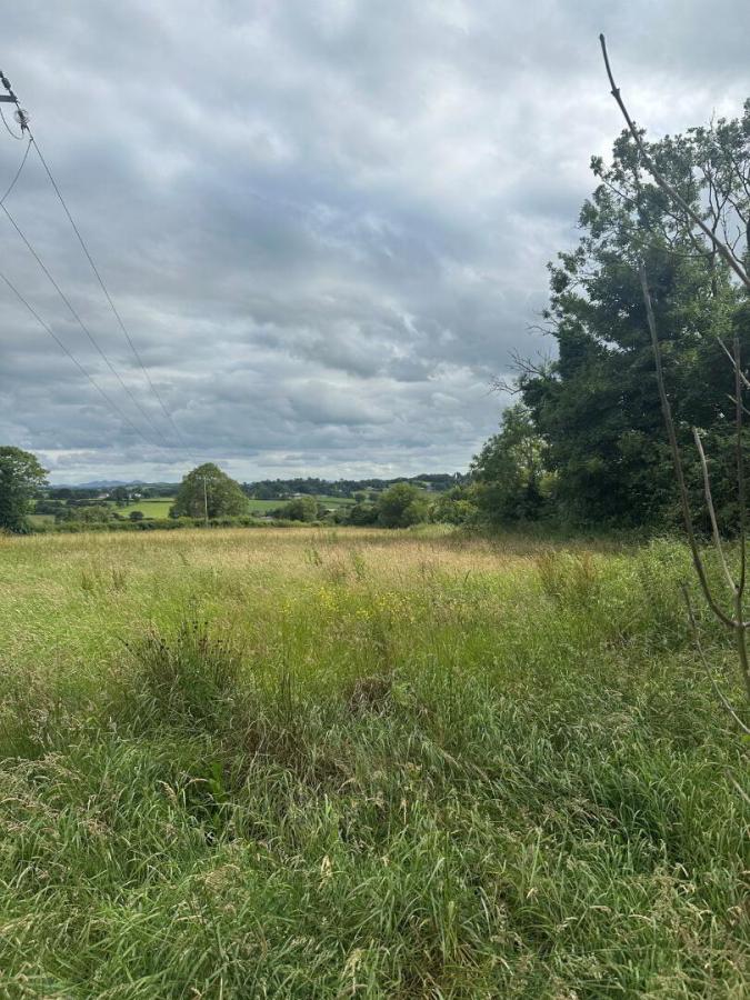 Building Site, 16m Sw Of, 32 dublinhill road, dromore, BT25 1SY