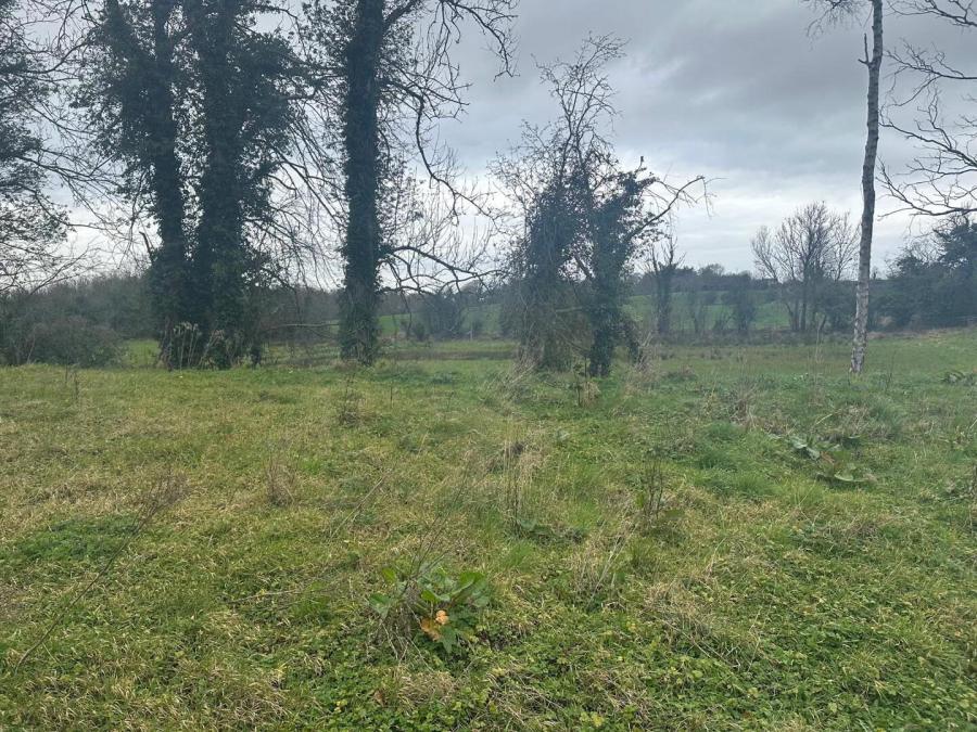 90 Moss Road, Waringstown, BT66 7QZ