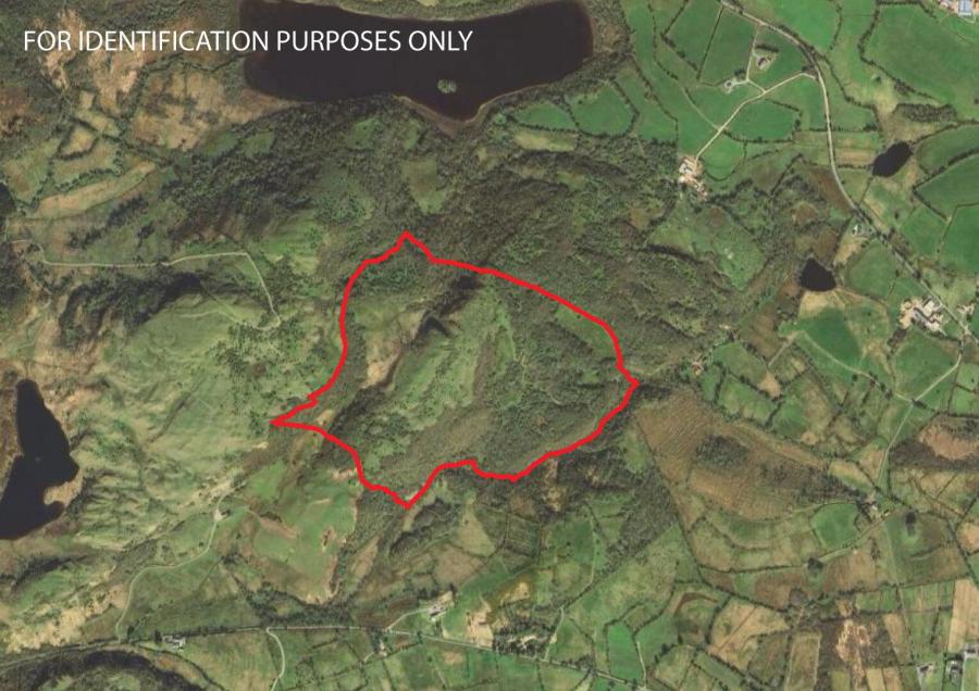 Lands At Callow, Tonnagh Road, Derrygonnelly, BT93 6LS