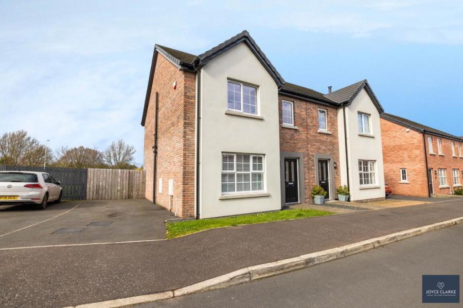 3 Drumford Close, Portadown, BT63 5RQ