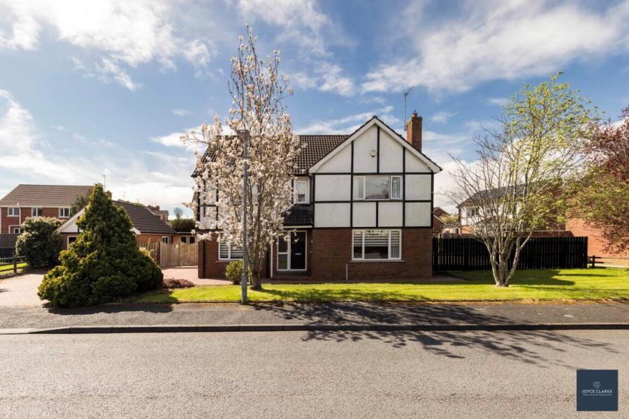 3 Milfort Drive, Waringstown, BT66 7PB