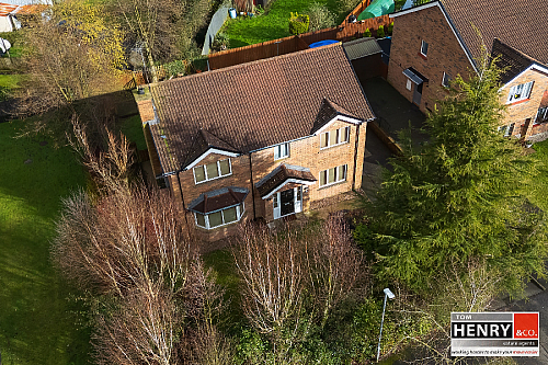 45 Hollyfields, Old Eglish Road, Dungannon, BT71 7BH