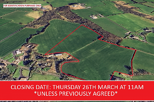 Drumlee Road, Moy, Dungannon, BT71 7QD