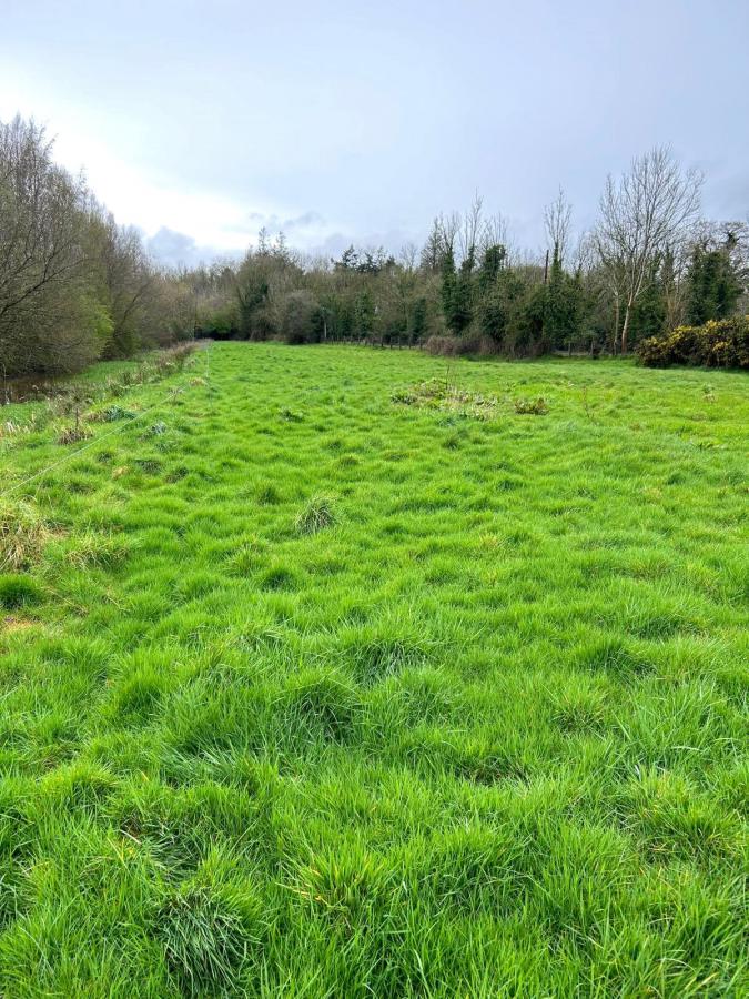 Summerisland Road, Loughgall, Armagh, BT61 8LF