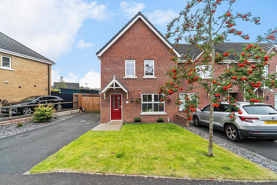 3 Ayrshire Meadows, Lisburn, BT28 2DU