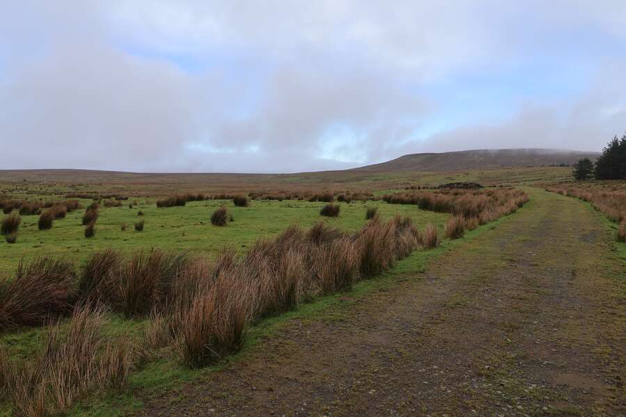 Shanes Hill, Hightown, Larne, BT40 2TG