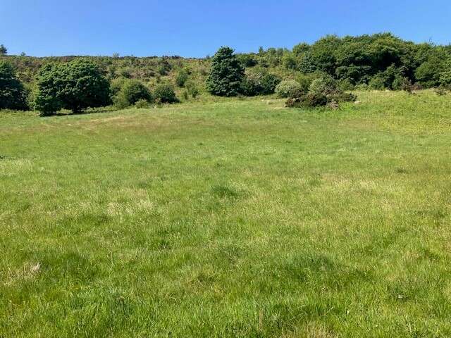 Planting Road, Mullaghbawn, BT35 9TR