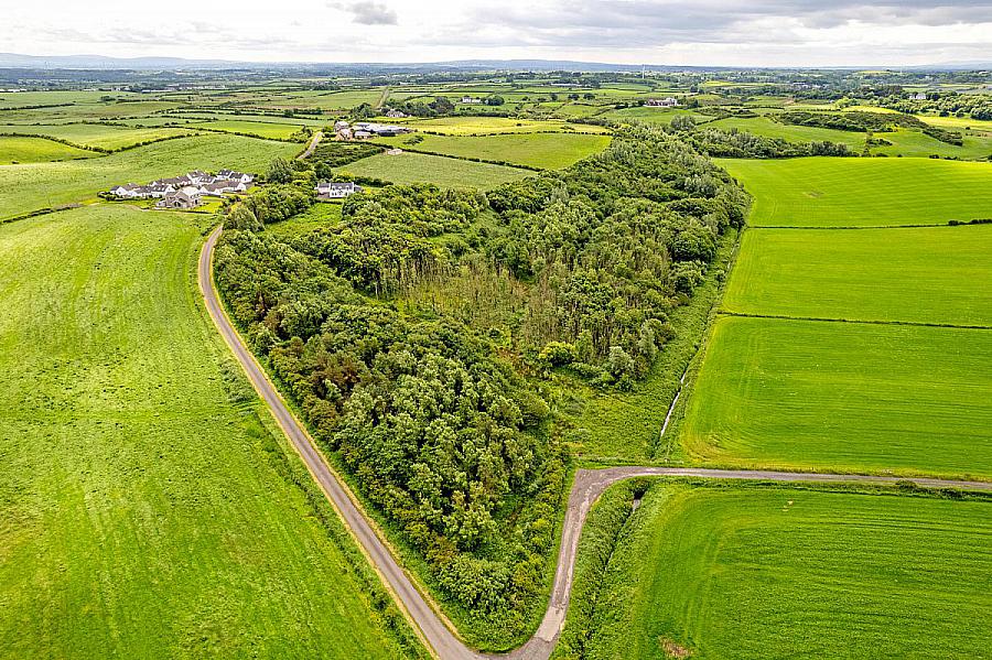 Woodland At 26 Leeke Road, Bushmills, BT57 8UN
