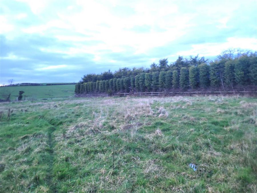 Lands at, 43 - 45 Darragh Road, Darragh Cross, Crossgar, BT30 9NP