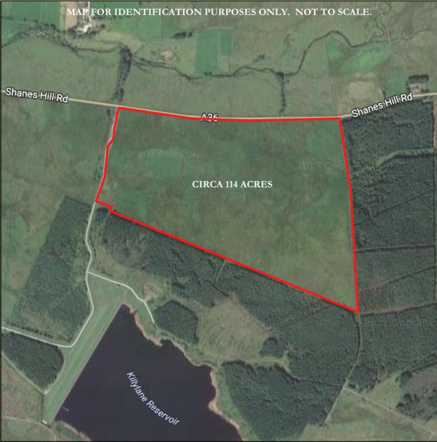 Shaneshill Road, Glenwherry, Ballymena, BT42 3EP