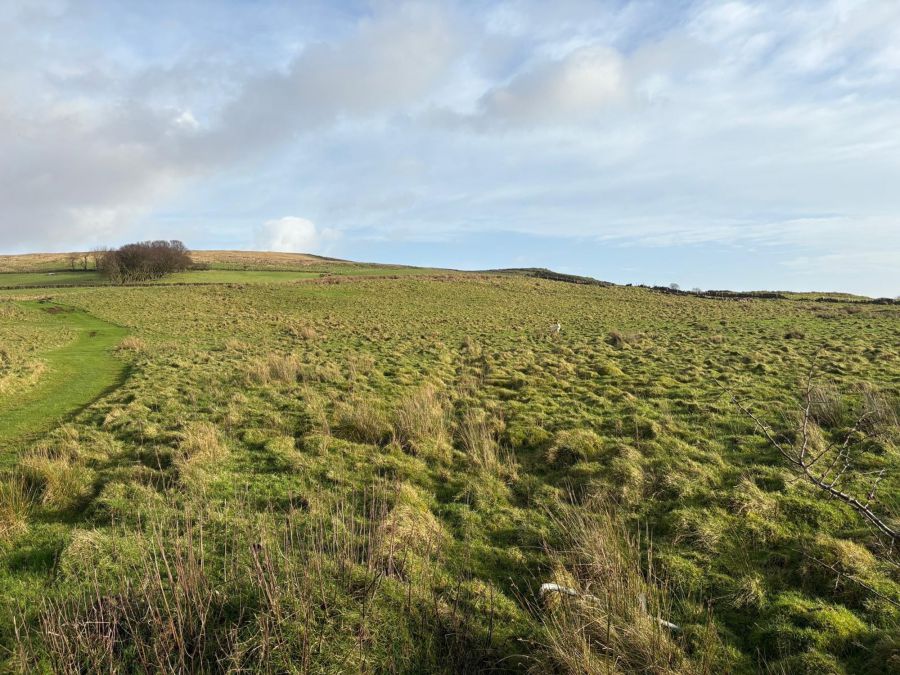 Douglas Road, Glenwherry, Ballymena, BT42 4RG